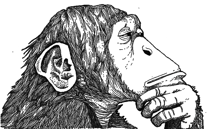 anxiety and solution