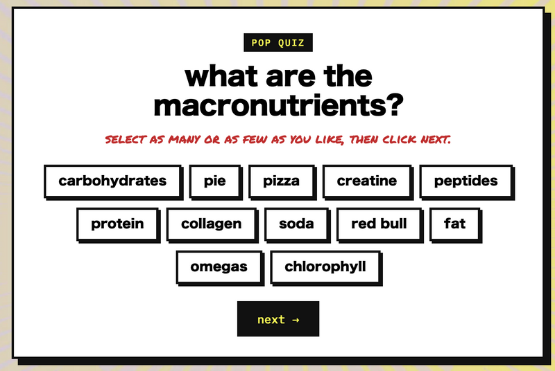 What Are the Macronutrients?