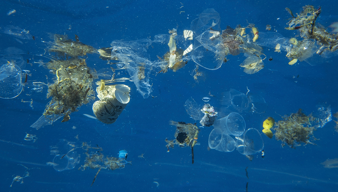 Help Us Eliminate Single-Use Plastic