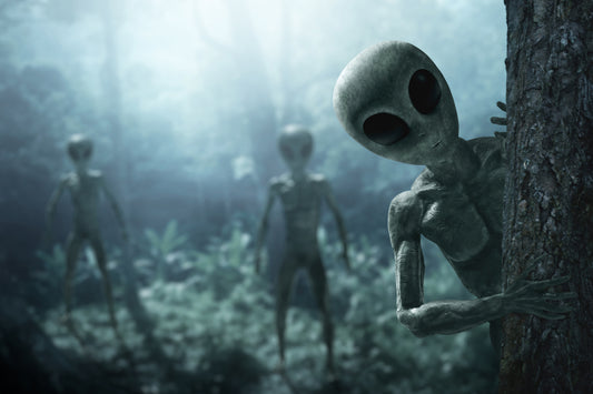 Universal Sentient Anxiety Explained