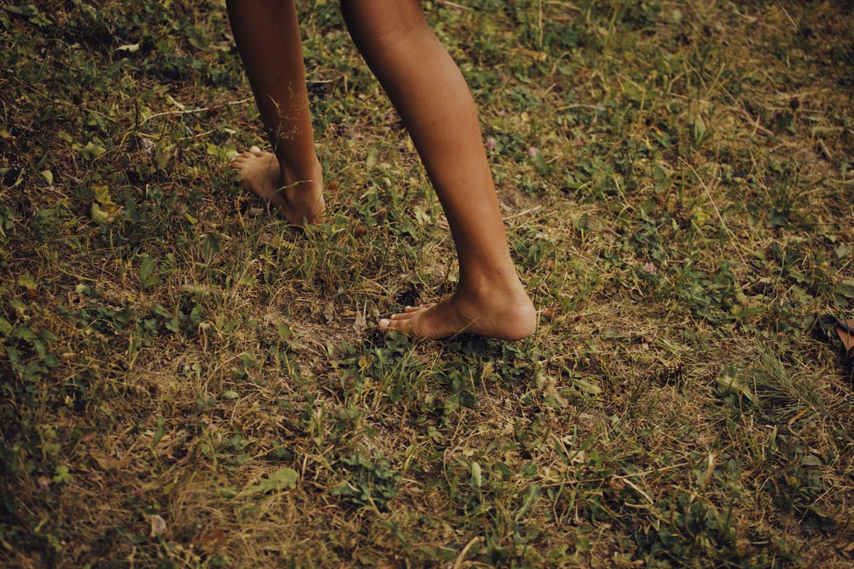 The Body, the Tribe, and What We Traded for Comfort