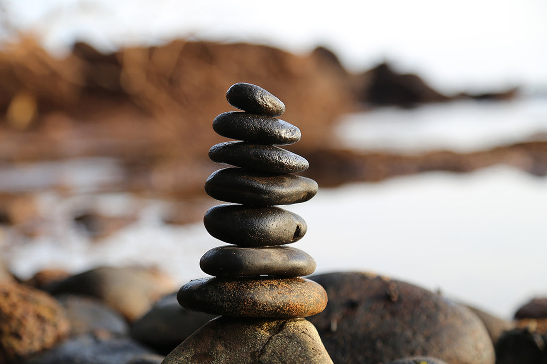 ππΏπ The Journey of Meditation Unfolds πΌπ π