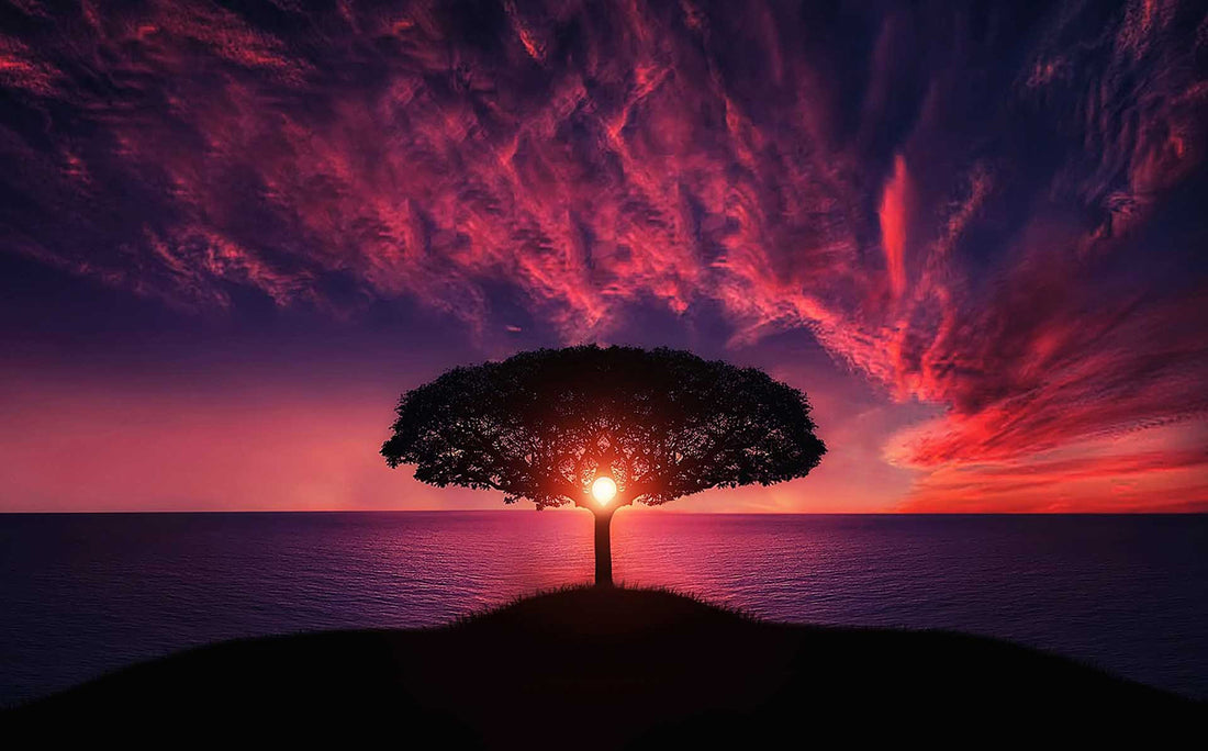 the power of awareness
