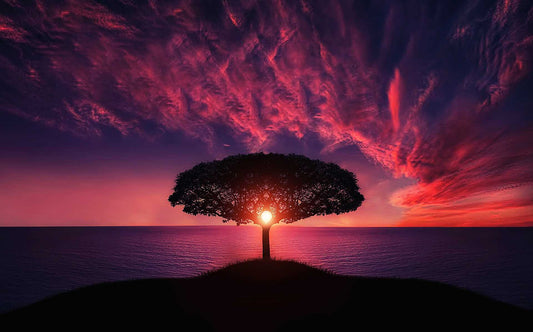 the power of awareness