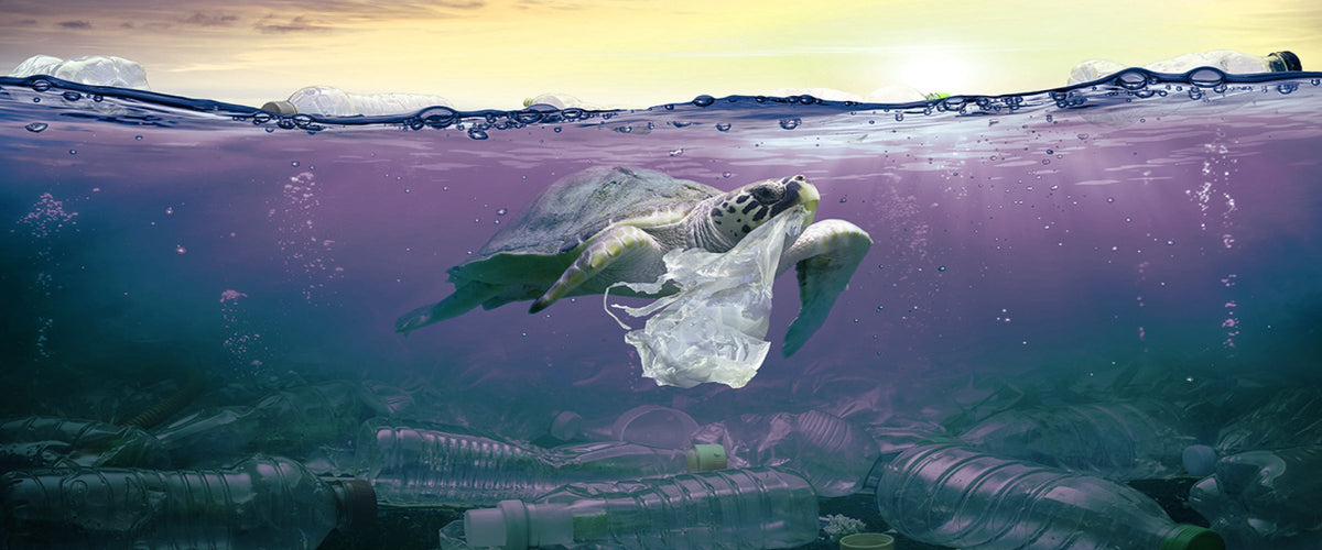 I Was Wrong About Plastic