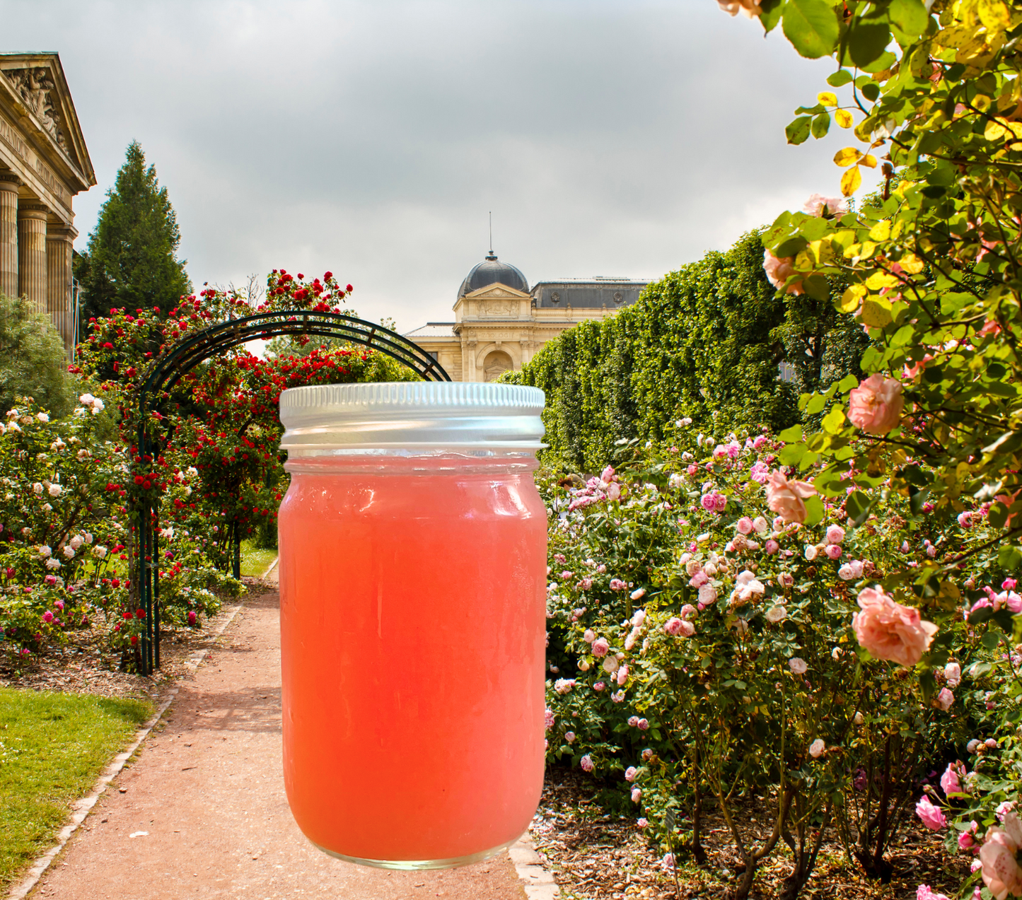 rose lemonade
