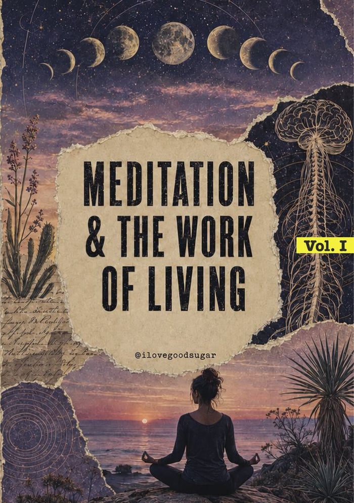 Meditation & The Work of Living