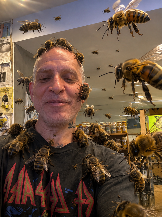 To Bee or Not To Bee