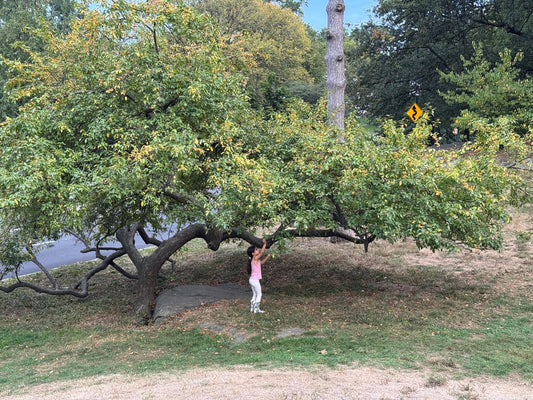 Relationships Are Mirrors, Here’s How to Read Them