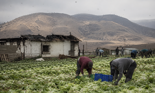 Food Safety Updates: Cyclospora