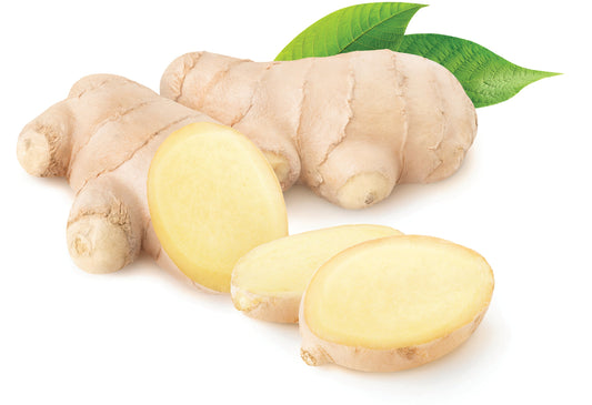 Ginger: A Complete Field Guide