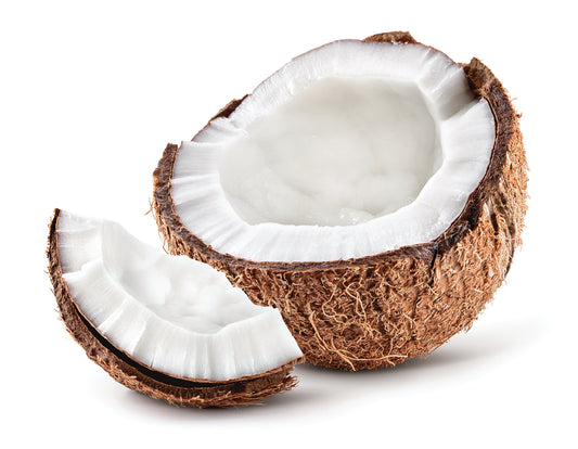 Coconut: Water and Meat, A Complete Field Guide