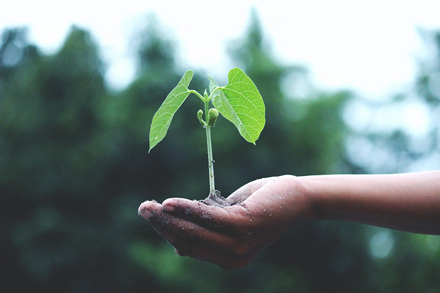 sustainabilty: what we need to think about