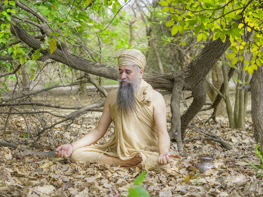 You Are the Guru of You