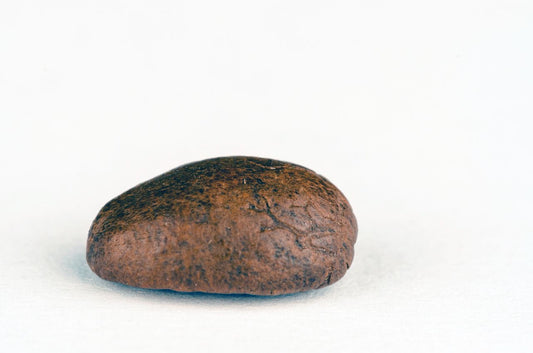 Kidney Stones and the Protein on Your Plate