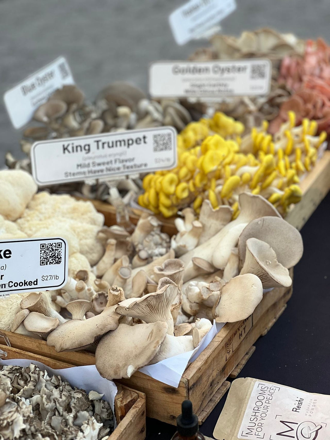 Produce, Mushrooms, and the Plant Based Life