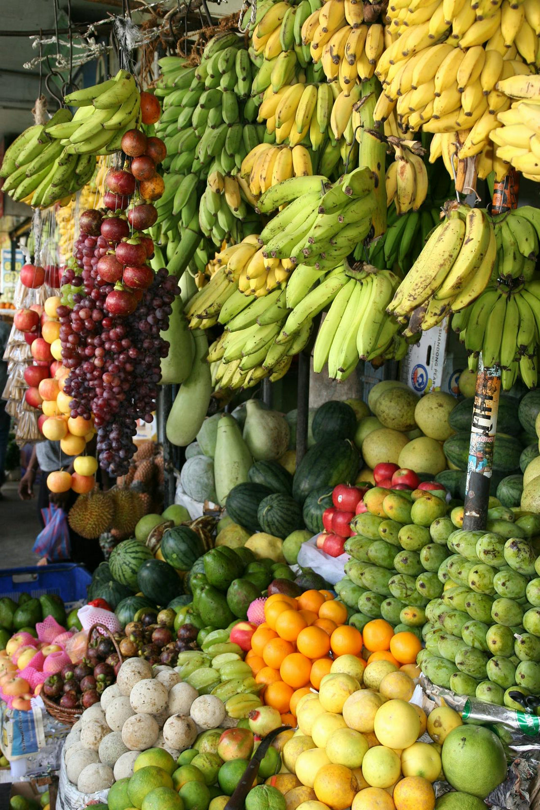 7.4 The Plant Based Health Revolution