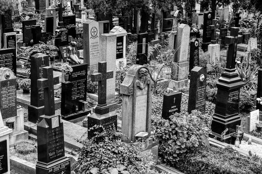 Life, Death, and the Unknown