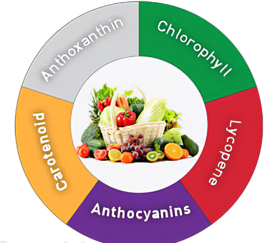 what are phytonutrients?