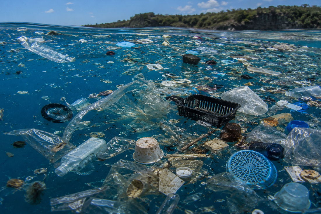 Presence of Airborne Microplastics in Human Lung Tissue
