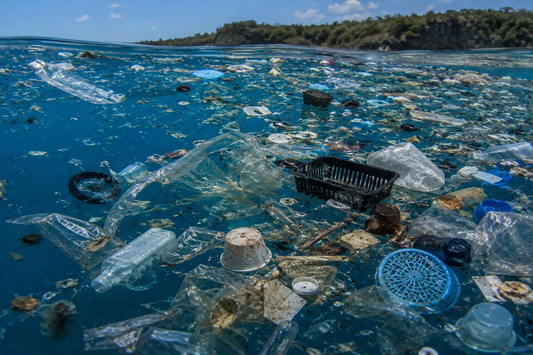 Presence of Airborne Microplastics in Human Lung Tissue