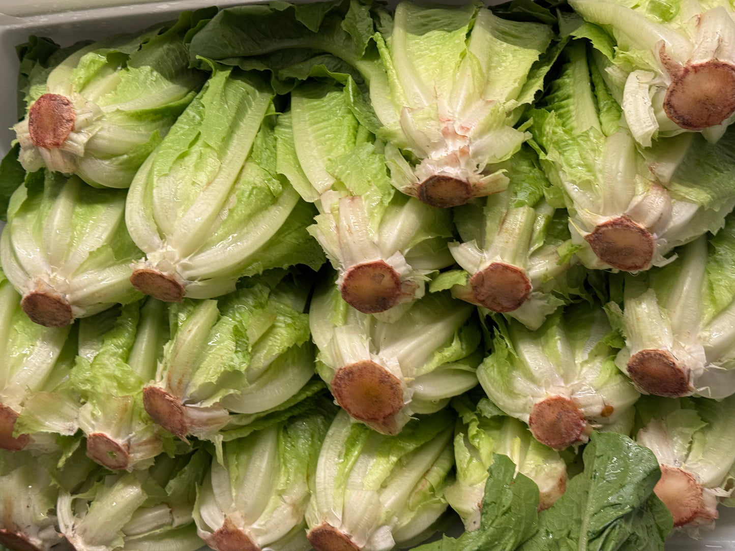 vegan caesar