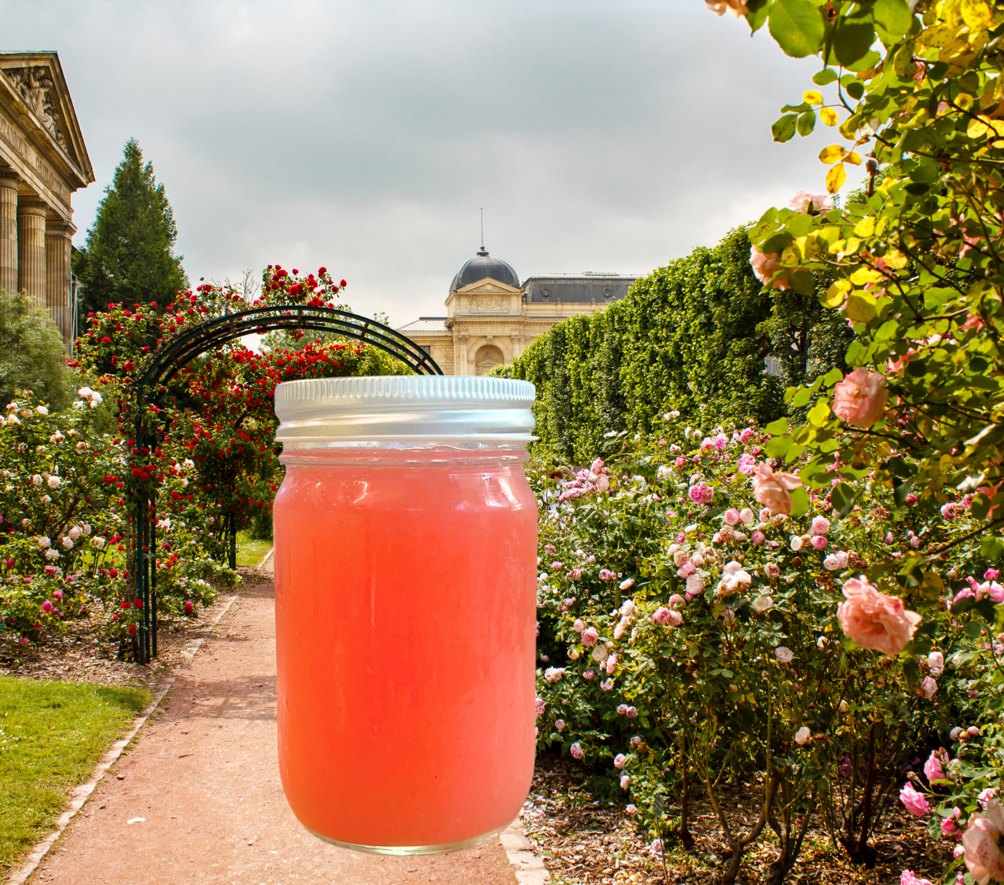 Rose Lemonade