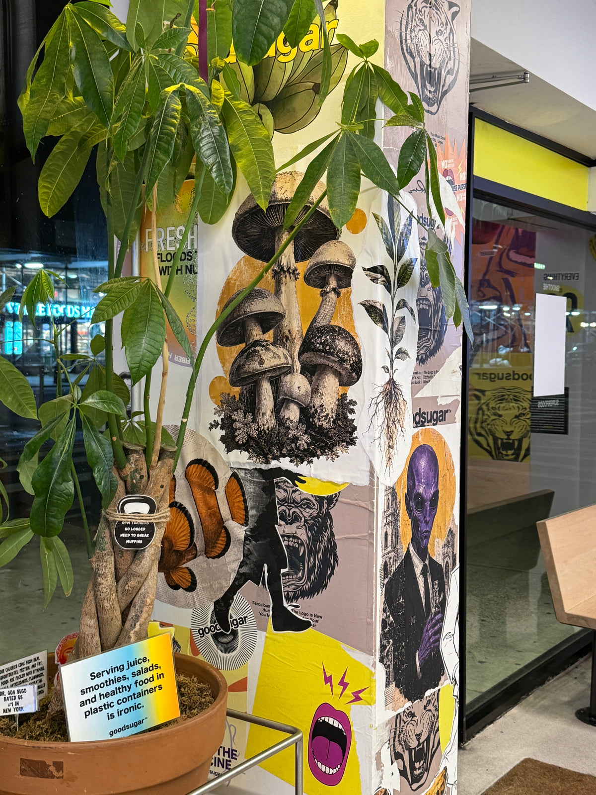 Fast forward to 2026. I’ve always been obsessed with wheat-pasting. It’s really collage, something I learned from my mom and her sisters, and probably from my grandmother Adele (RIP). I love the imagery and the colors. It’s a cool way to communicate in New York.