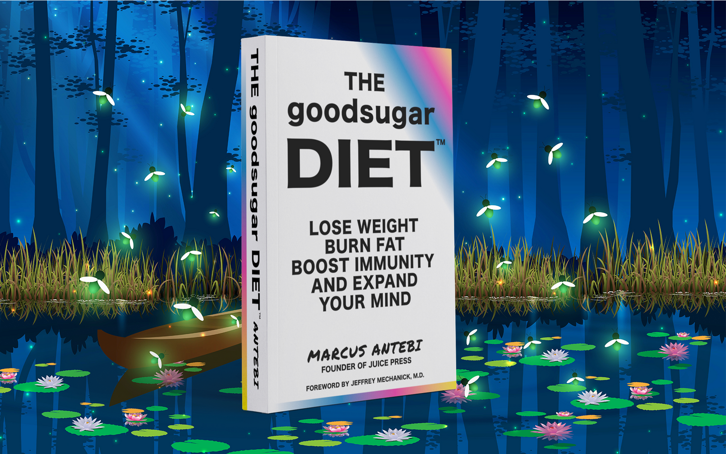 The goodsugar Diet Book (Print)